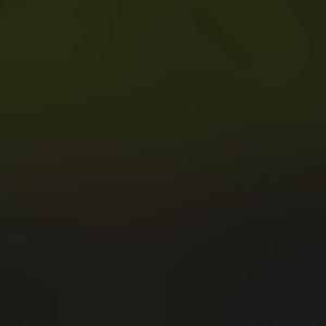 Meet your Posher, Belle